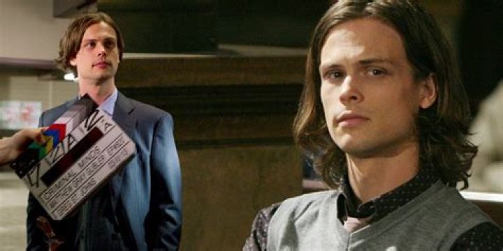 Matthew Gray Gubler Assault Allegations, What Happened To The Criminal Minds Actor?