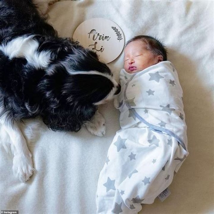 
Who was Chris Peluso? Cause of death, net worth, wife Jessica Gomes, children, career and more 